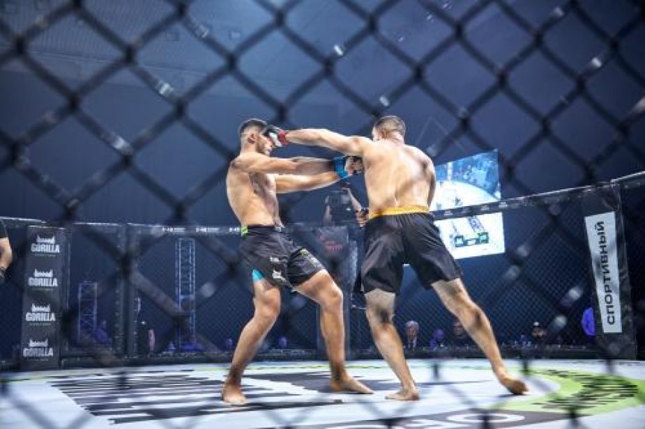 Международный турнир OPEN FIGHTING CHAMPIONSHIP